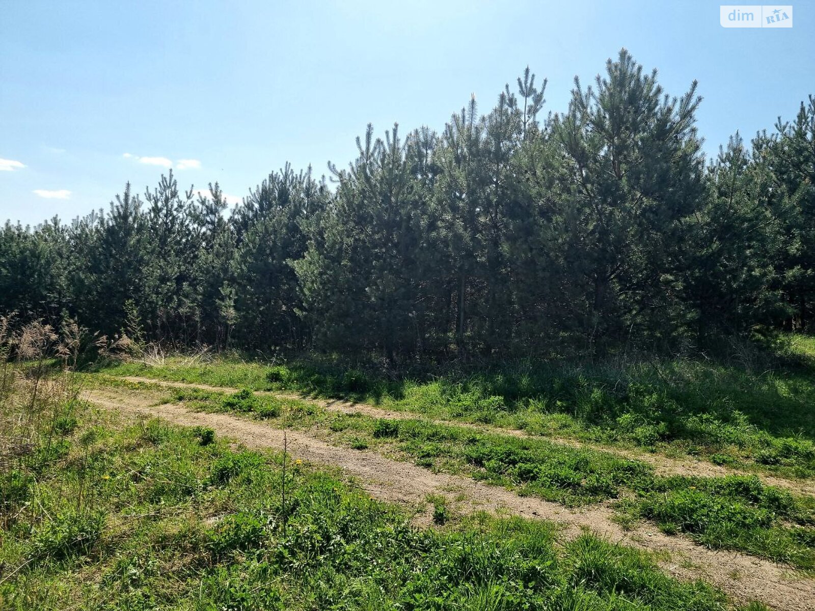 Земельна ділянка сільськогосподарського призначення в Городищі, площа 10 соток фото 1 Земельна ділянка сільськогосподарського призначення в Городищі, площа 10 соток фото 1
