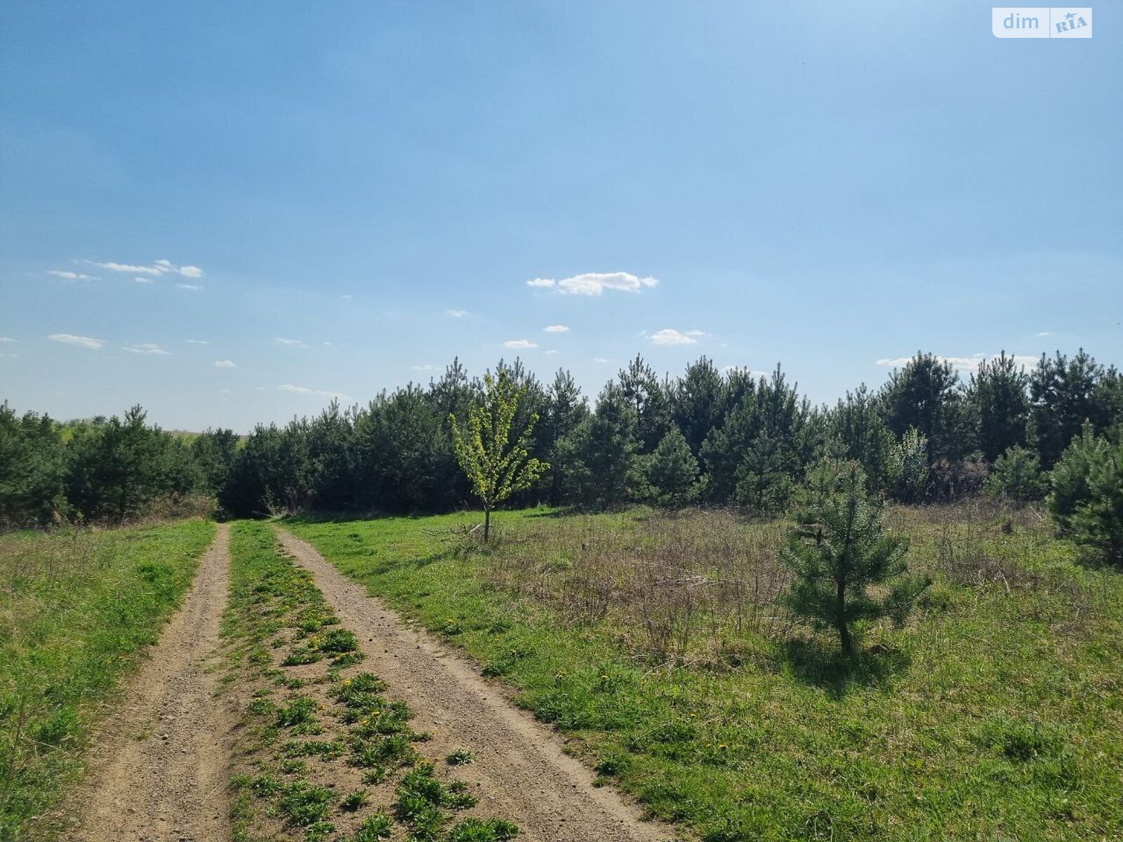 Земельна ділянка сільськогосподарського призначення в Городищі, площа 10 соток фото 1 Земельна ділянка сільськогосподарського призначення в Городищі, площа 10 соток фото 1