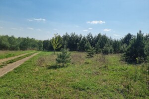 Земельный участок сельскохозяйственного назначения в Городище, площадь 10 соток фото 2