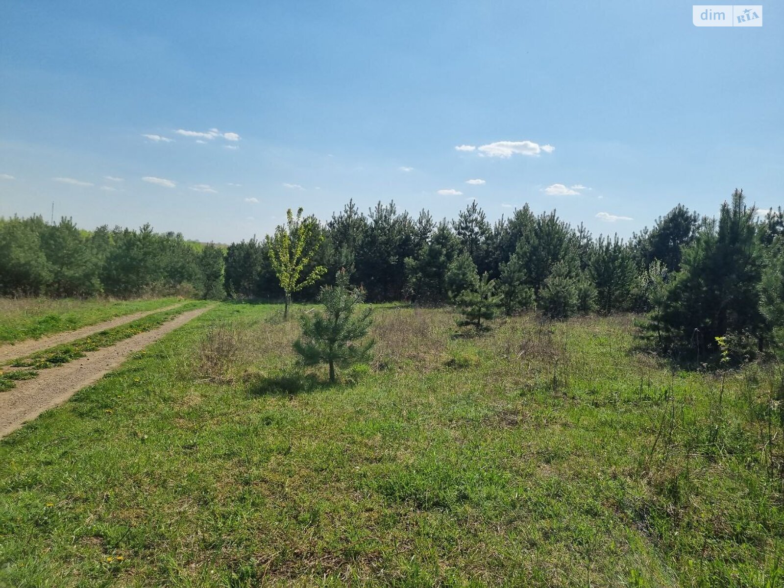 Земельна ділянка сільськогосподарського призначення в Городищі, площа 10 соток фото 1 Земельна ділянка сільськогосподарського призначення в Городищі, площа 10 соток фото 1
