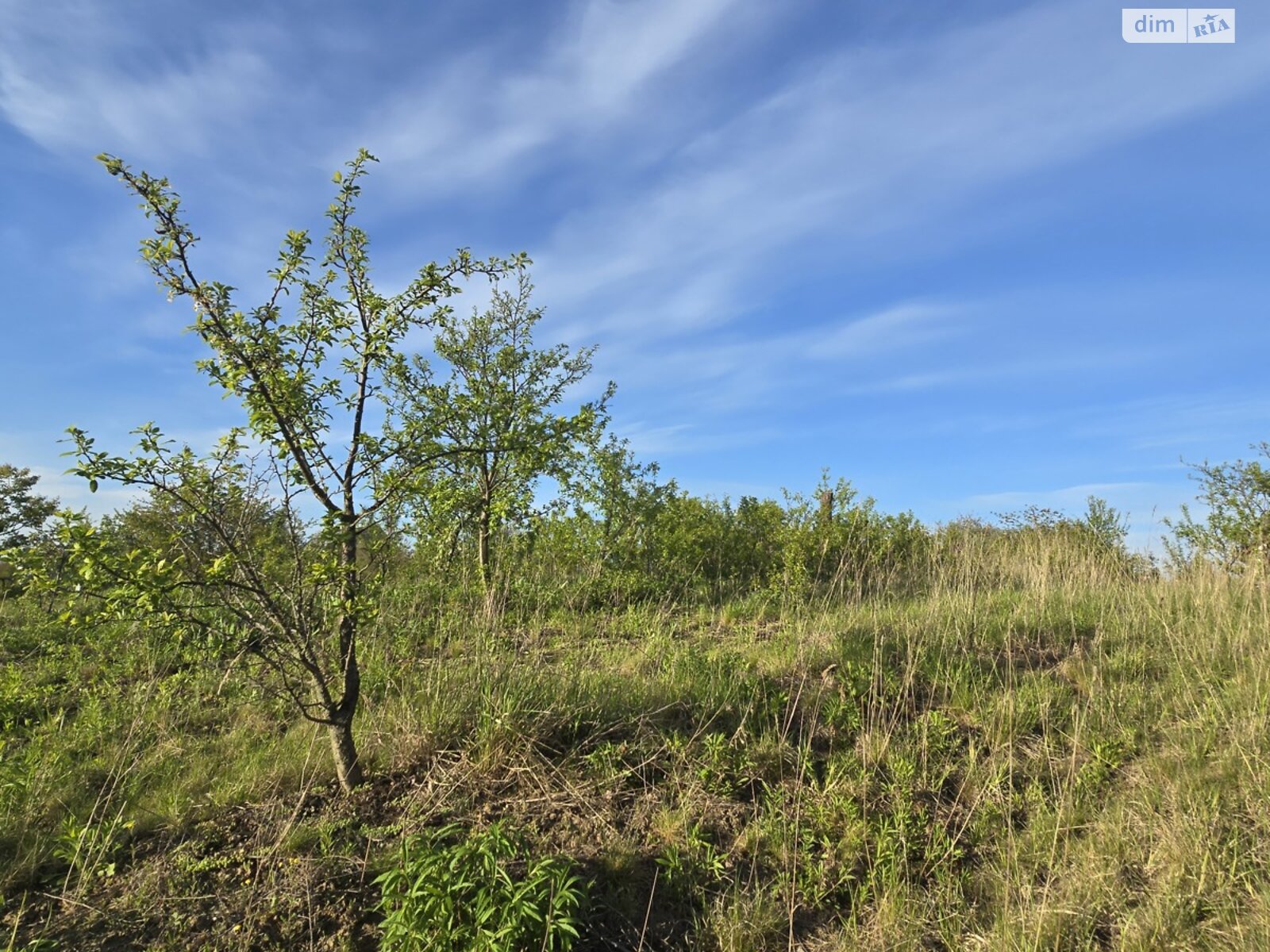 Земельна ділянка сільськогосподарського призначення в Городищі, площа 8 соток фото 1 Земельна ділянка сільськогосподарського призначення в Городищі, площа 8 соток фото 1