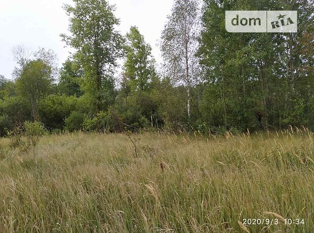 Земля сельскохозяйственного назначения в селе Андреевка, площадь 2 Га фото 1 Земля сельскохозяйственного назначения в селе Андреевка, площадь 2 Га фото 1