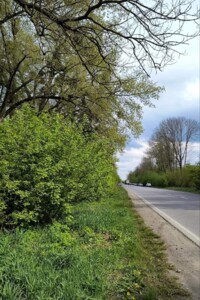 Земля сельскохозяйственного назначения в Городке, район Городок, площадь 1.5 Га фото 2