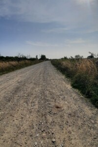 Земля сельскохозяйственного назначения в Городке, район Городок, площадь 8 соток фото 2