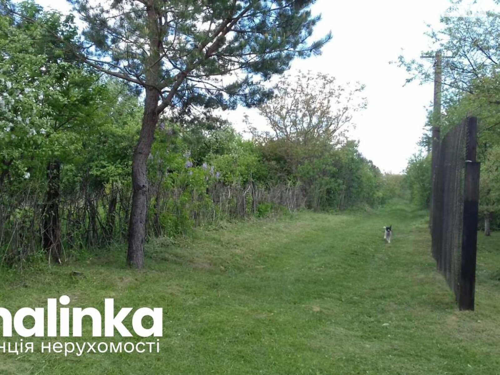 Земля сельскохозяйственного назначения в Городке, район Городок, площадь 9.5 сотки фото 1