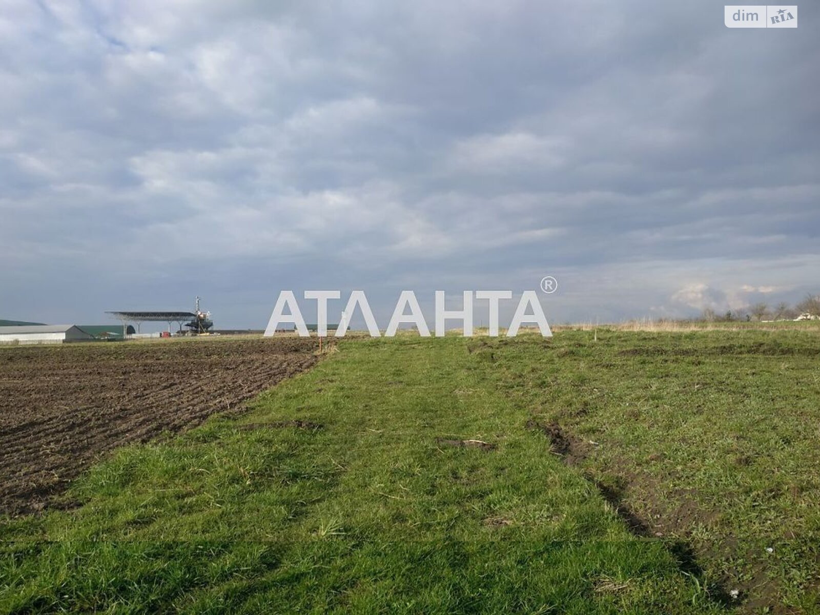 Земля сельскохозяйственного назначения в Городке, район Городок, площадь 13 соток фото 1