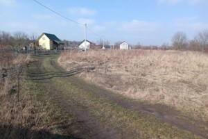 Земельный участок сельскохозяйственного назначения в Городке, площадь 10 соток фото 2