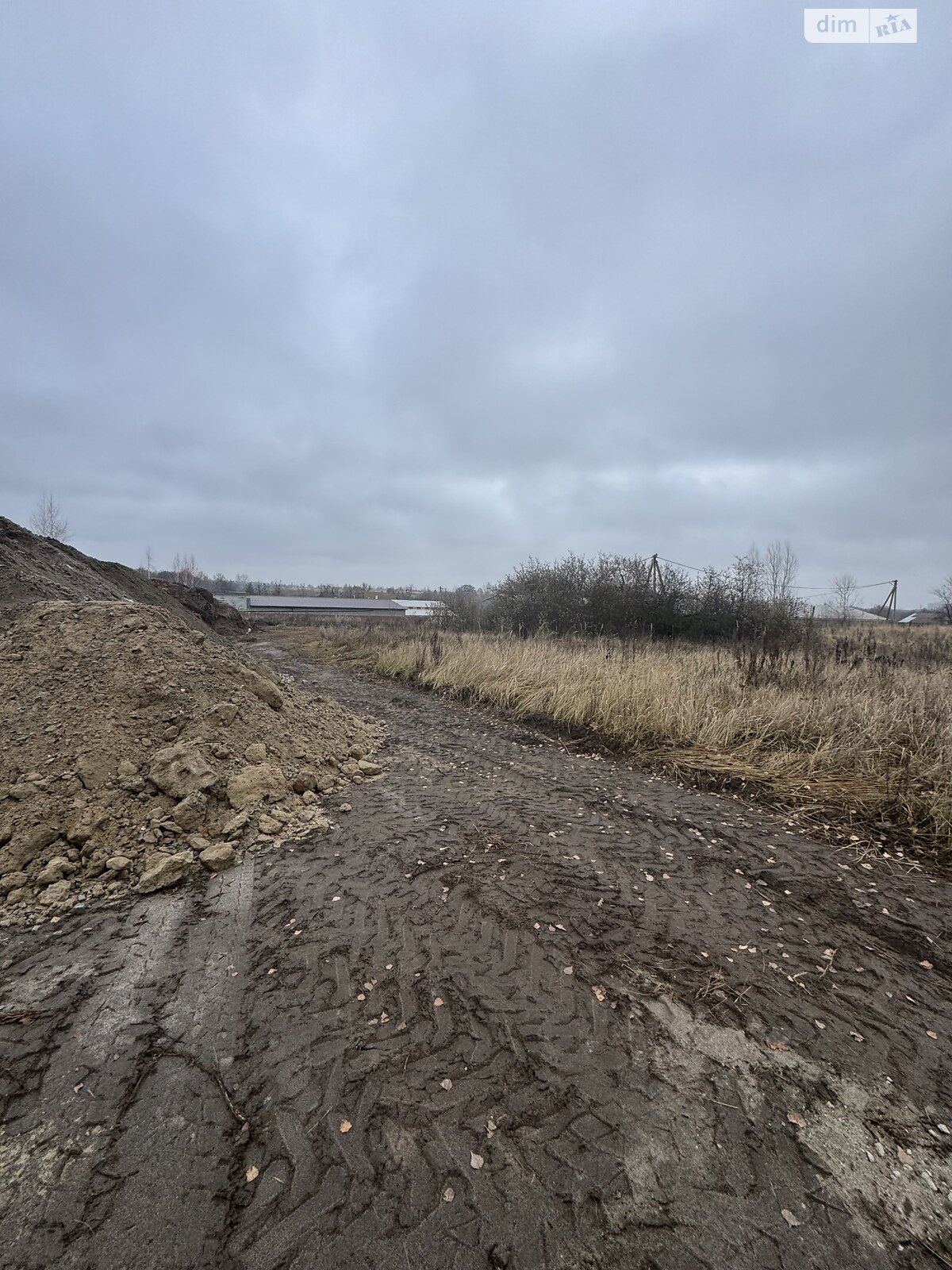Земельный участок сельскохозяйственного назначения в Гостомеле, площадь 25 соток фото 1