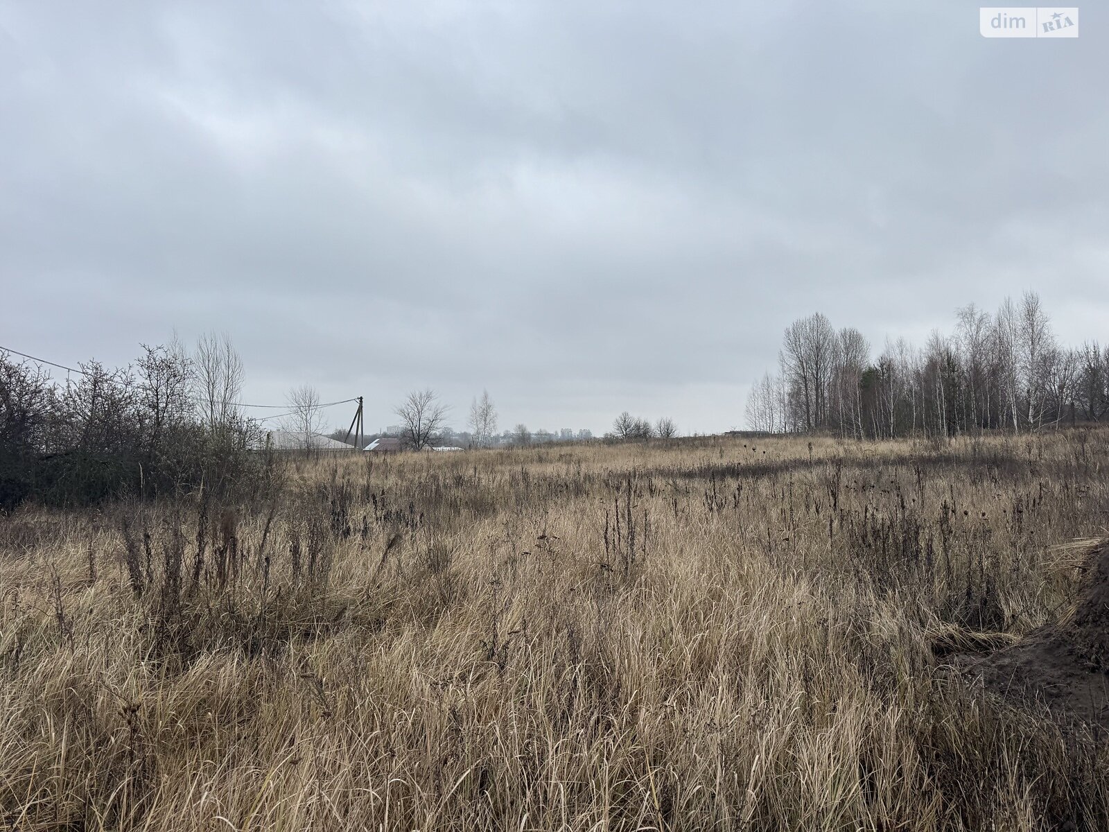 Земельный участок сельскохозяйственного назначения в Гостомеле, площадь 40 соток фото 1