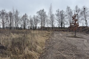 Земельный участок сельскохозяйственного назначения в Гостомеле, площадь 40 соток фото 2