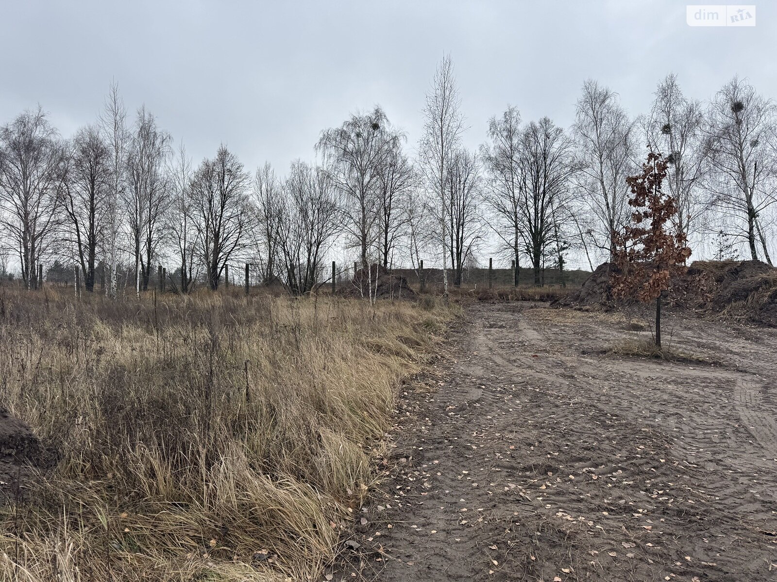 Земельный участок сельскохозяйственного назначения в Гостомеле, площадь 40 соток фото 1