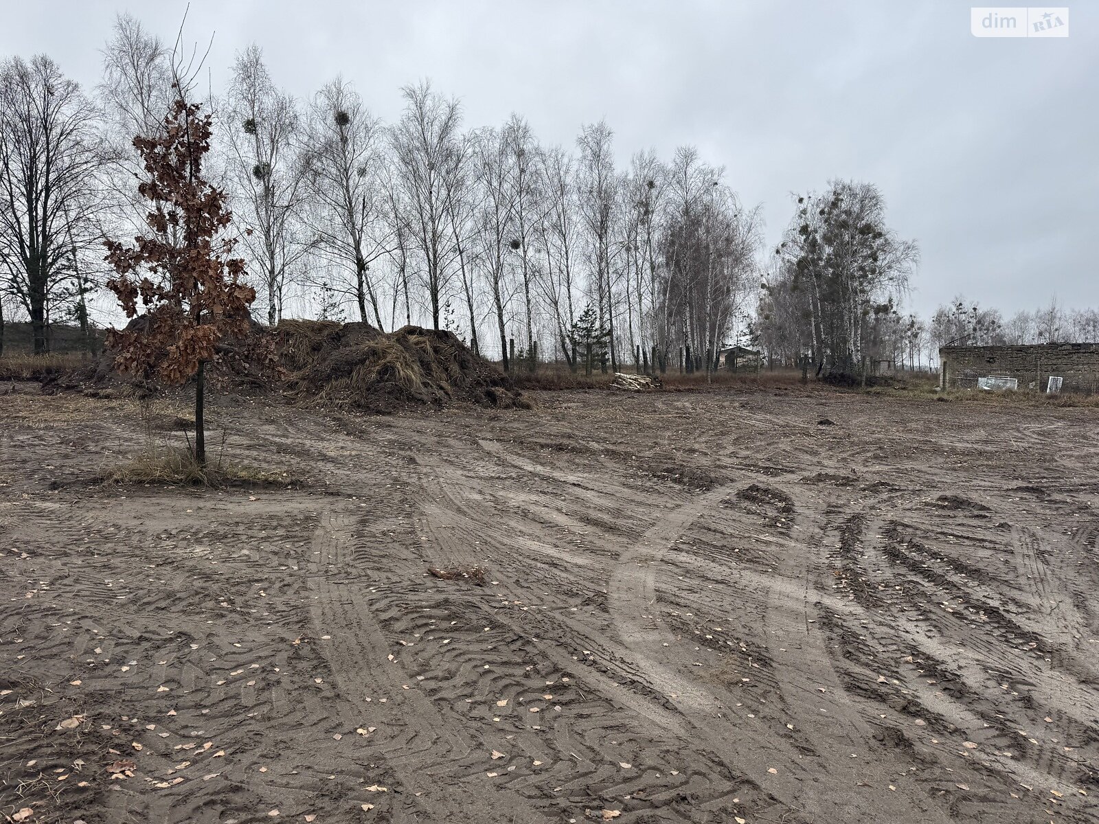 Земельный участок сельскохозяйственного назначения в Гостомеле, площадь 40 соток фото 1