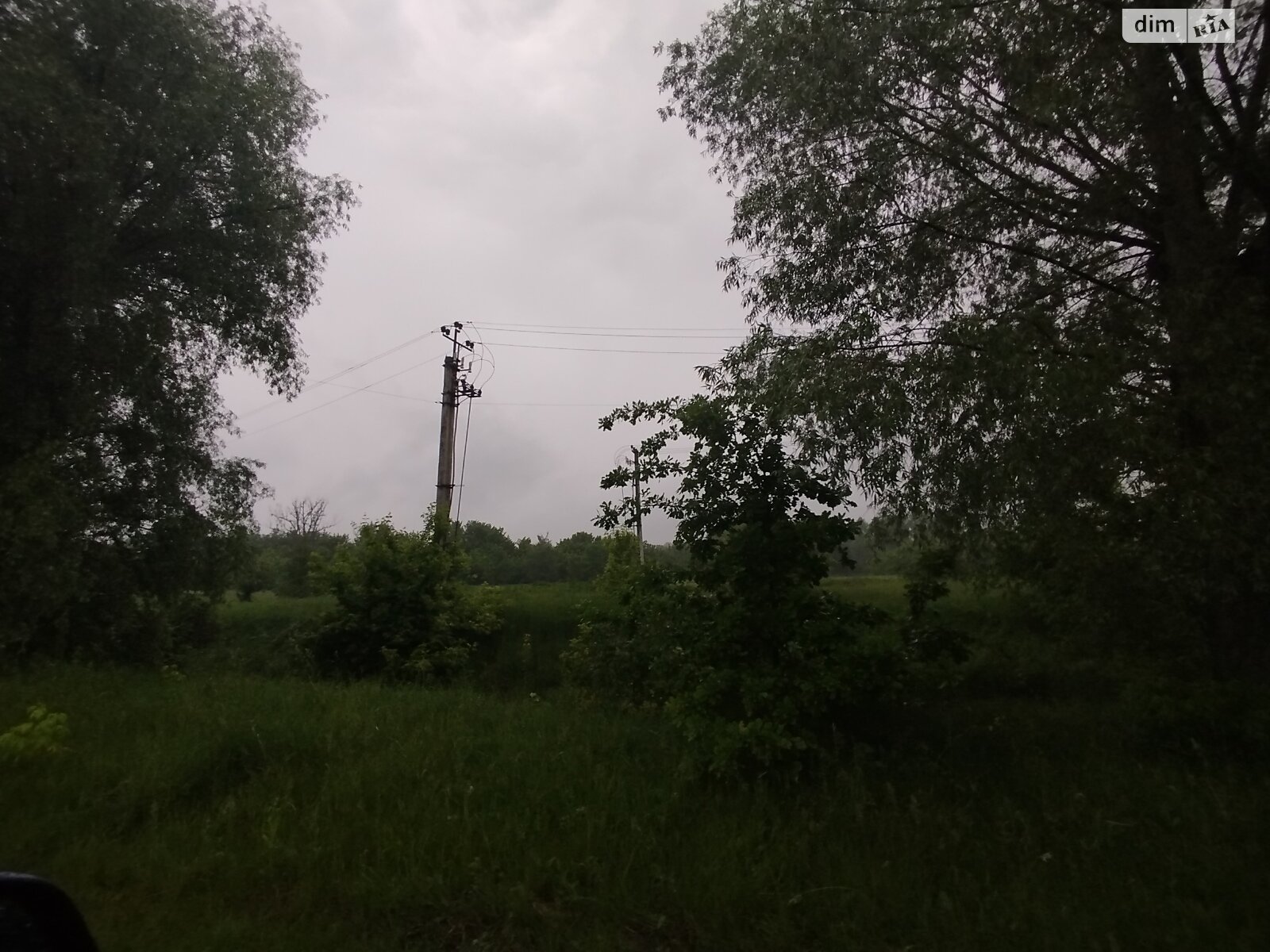 Земельна ділянка сільськогосподарського призначення в Гостомелі, площа 55.37 сотки фото 1 Земельна ділянка сільськогосподарського призначення в Гостомелі, площа 55.37 сотки фото 1