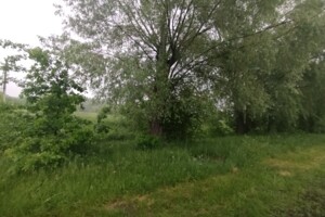 Земельна ділянка сільськогосподарського призначення в Гостомелі, площа 55.37 сотки фото 2