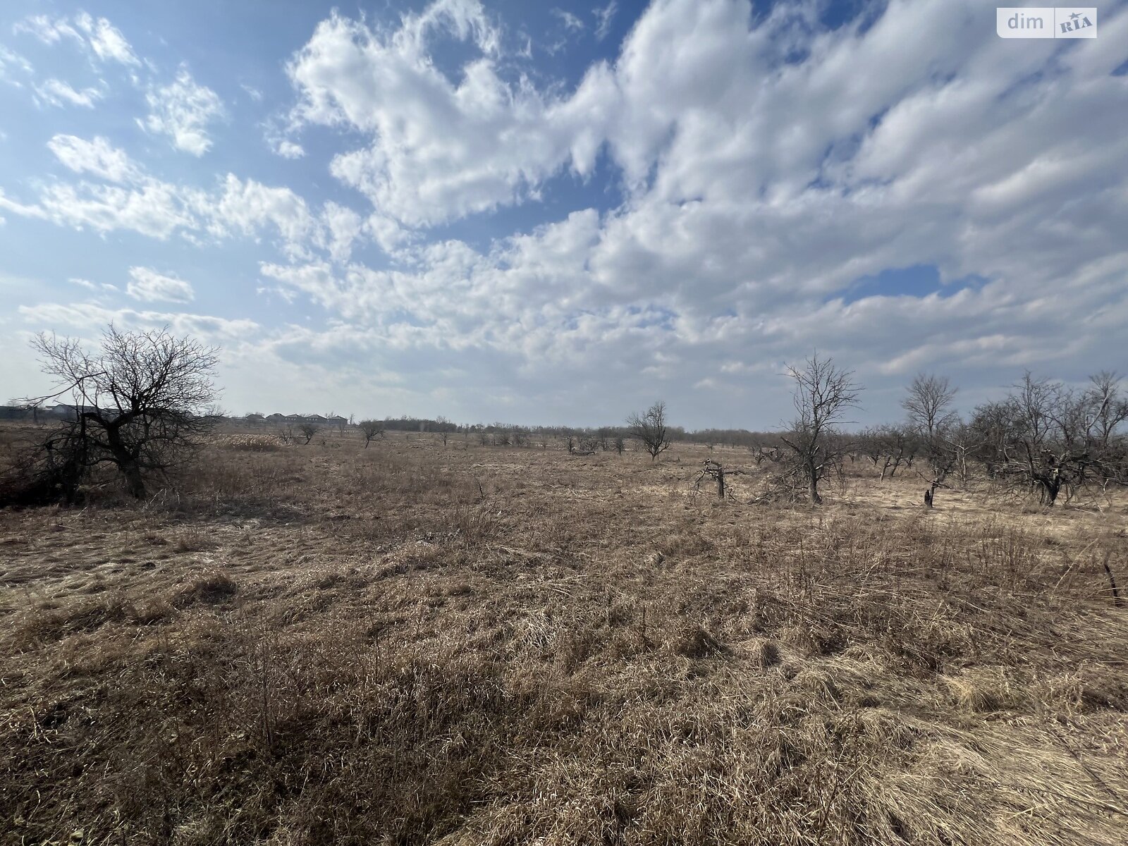 Земельна ділянка сільськогосподарського призначення в Гостомелі, площа 21 сотка фото 1