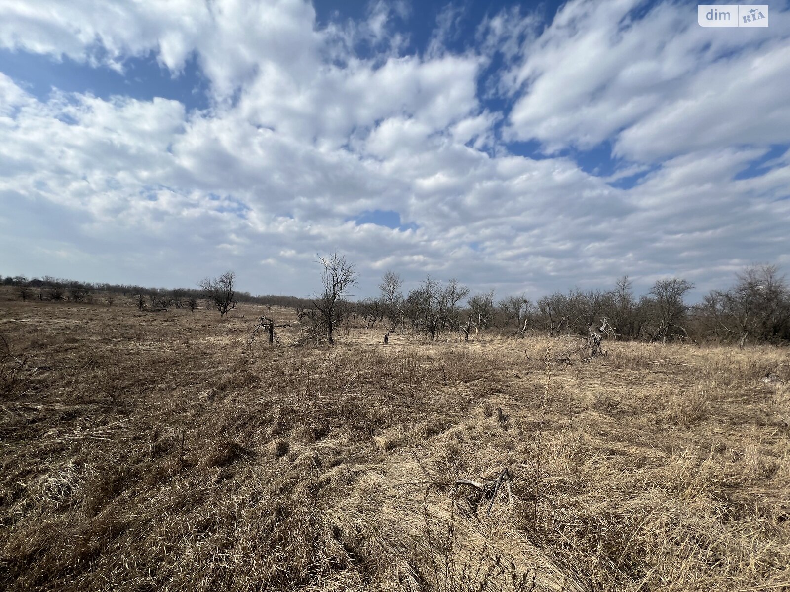 Земельна ділянка сільськогосподарського призначення в Гостомелі, площа 21 сотка фото 1 Земельна ділянка сільськогосподарського призначення в Гостомелі, площа 21 сотка фото 1