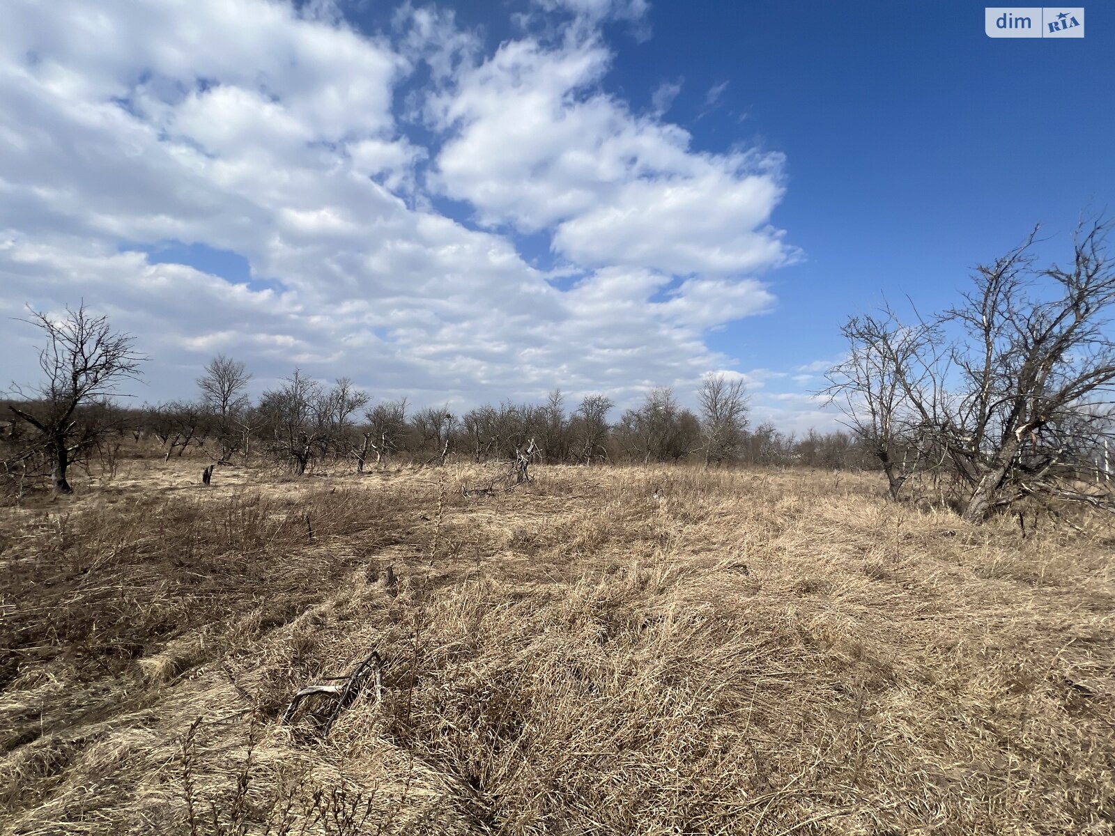 Земельна ділянка сільськогосподарського призначення в Гостомелі, площа 21 сотка фото 1 Земельна ділянка сільськогосподарського призначення в Гостомелі, площа 21 сотка фото 1