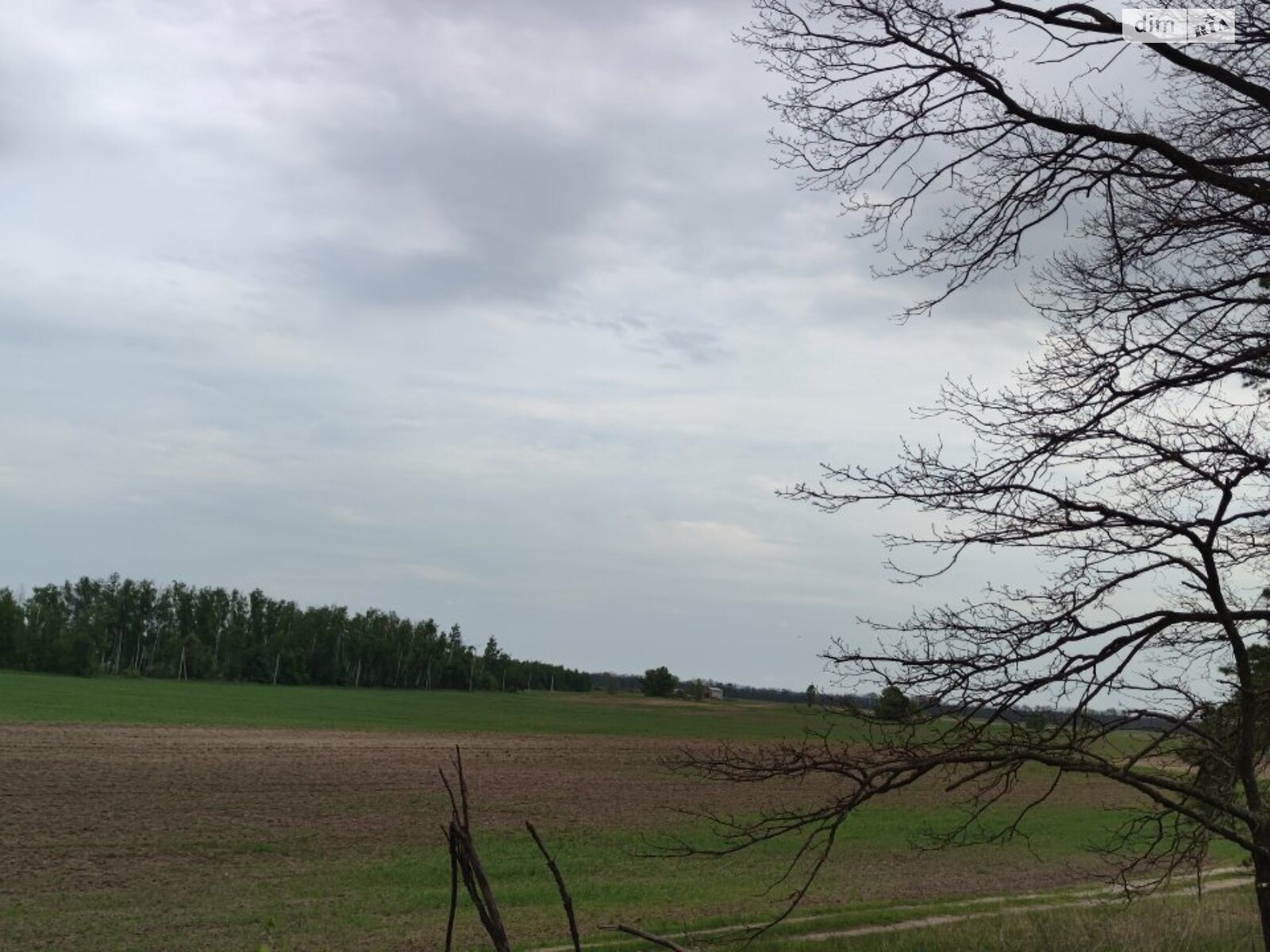 Земельна ділянка сільськогосподарського призначення в Гостомелі, площа 0.0964 Га фото 1