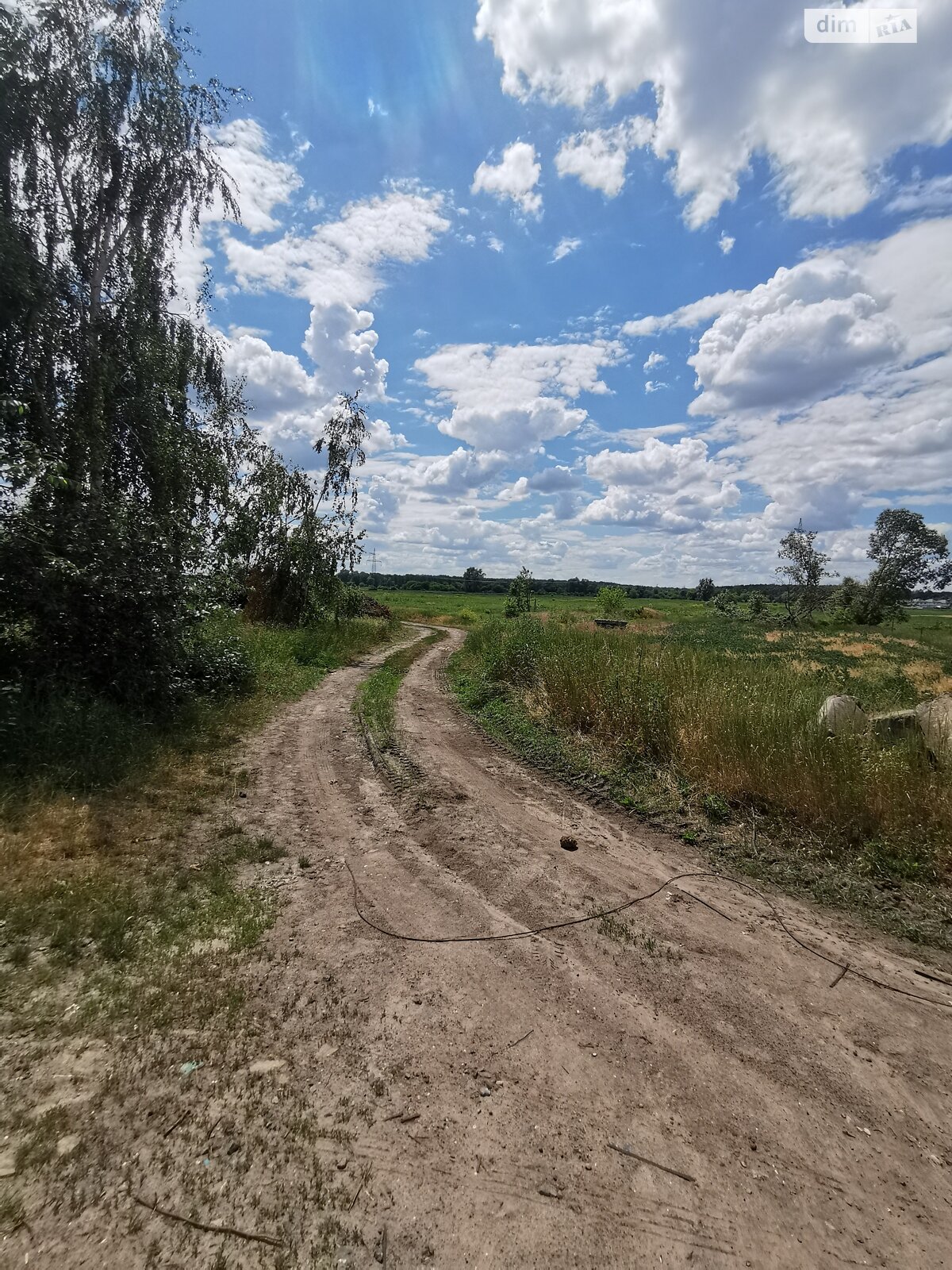 Земельна ділянка сільськогосподарського призначення в Гостомелі, площа 59.02 сотки фото 1 Земельна ділянка сільськогосподарського призначення в Гостомелі, площа 59.02 сотки фото 1