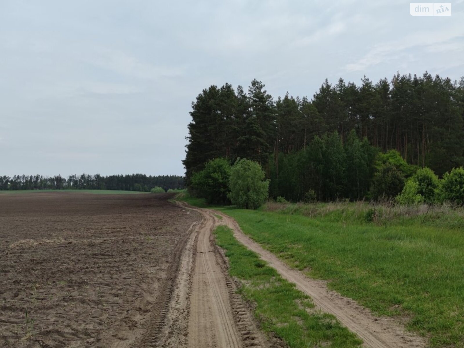 Земельна ділянка сільськогосподарського призначення в Гостомелі, площа 75.18 сотки фото 1 Земельна ділянка сільськогосподарського призначення в Гостомелі, площа 75.18 сотки фото 1