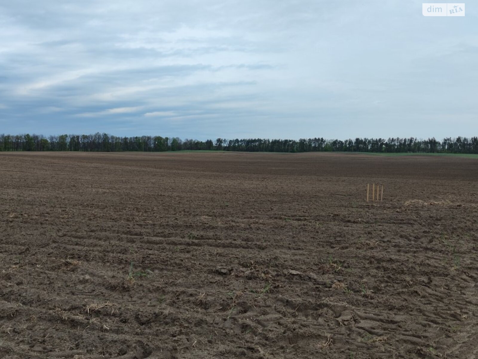 Земельна ділянка сільськогосподарського призначення в Гостомелі, площа 75.18 сотки фото 1 Земельна ділянка сільськогосподарського призначення в Гостомелі, площа 75.18 сотки фото 1