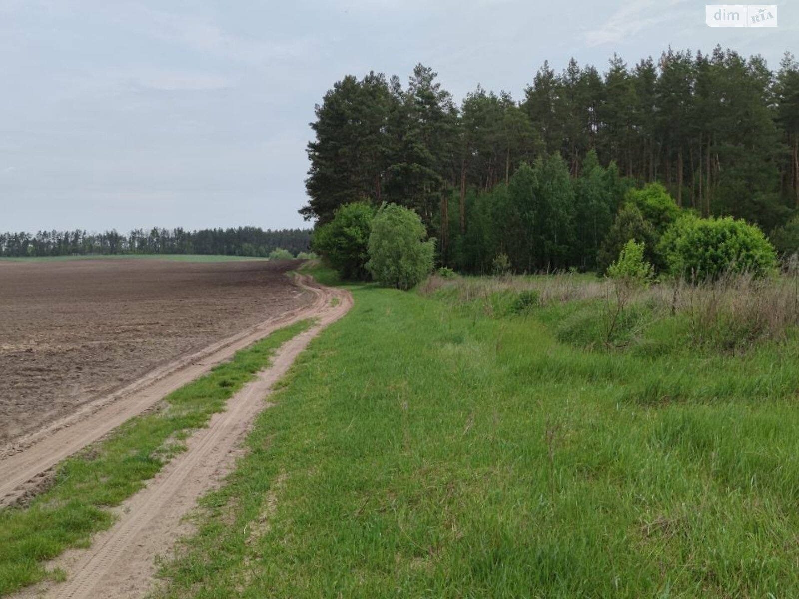 Земельна ділянка сільськогосподарського призначення в Гостомелі, площа 75.18 сотки фото 1 Земельна ділянка сільськогосподарського призначення в Гостомелі, площа 75.18 сотки фото 1