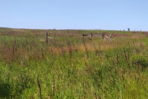 Земельна ділянка сільськогосподарського призначення в Гостомелі, площа 13.66 сотки фото 2