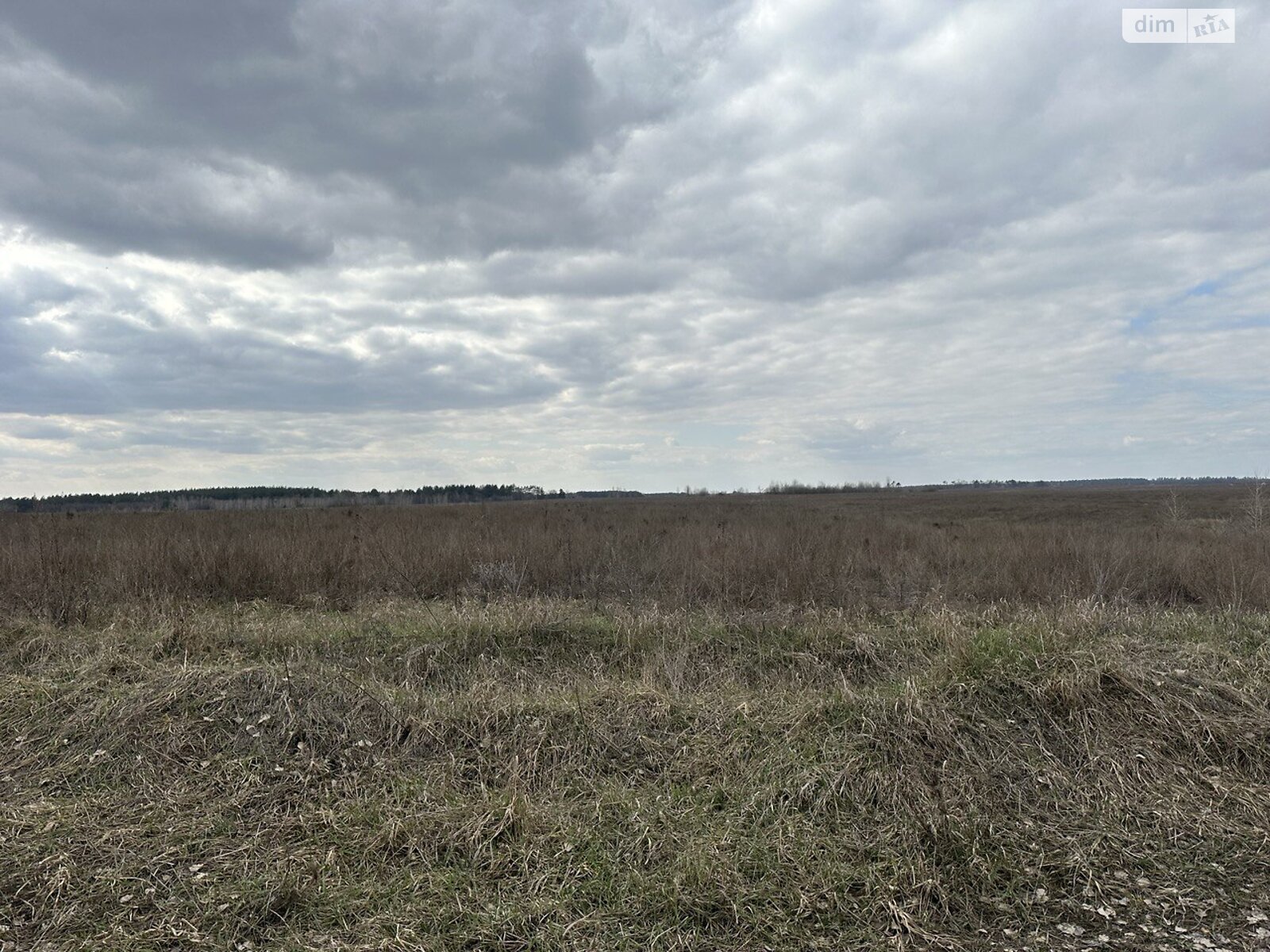 Земельна ділянка сільськогосподарського призначення в Гостомелі, площа 129 соток фото 1