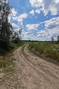 Земельна ділянка сільськогосподарського призначення в Гостомелі, площа 59.02 сотки фото 2