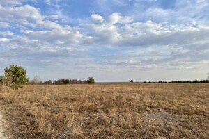 Земельный участок сельскохозяйственного назначения в Гостомеле, площадь 36.12 сотки фото 2