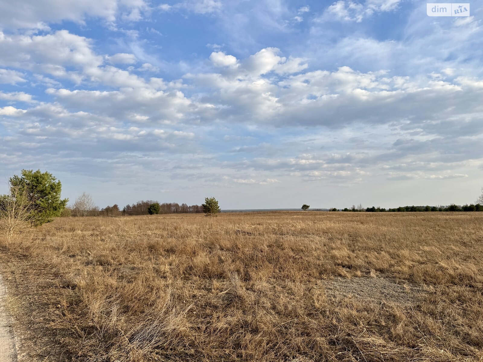 Земельна ділянка сільськогосподарського призначення в Гостомелі, площа 36.12 сотки фото 1