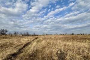 Земельна ділянка сільськогосподарського призначення в Гостомелі, площа 10 соток фото 2