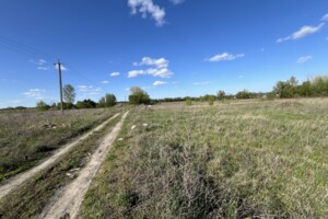 Земельна ділянка сільськогосподарського призначення в Гостомелі, площа 39 соток фото 2