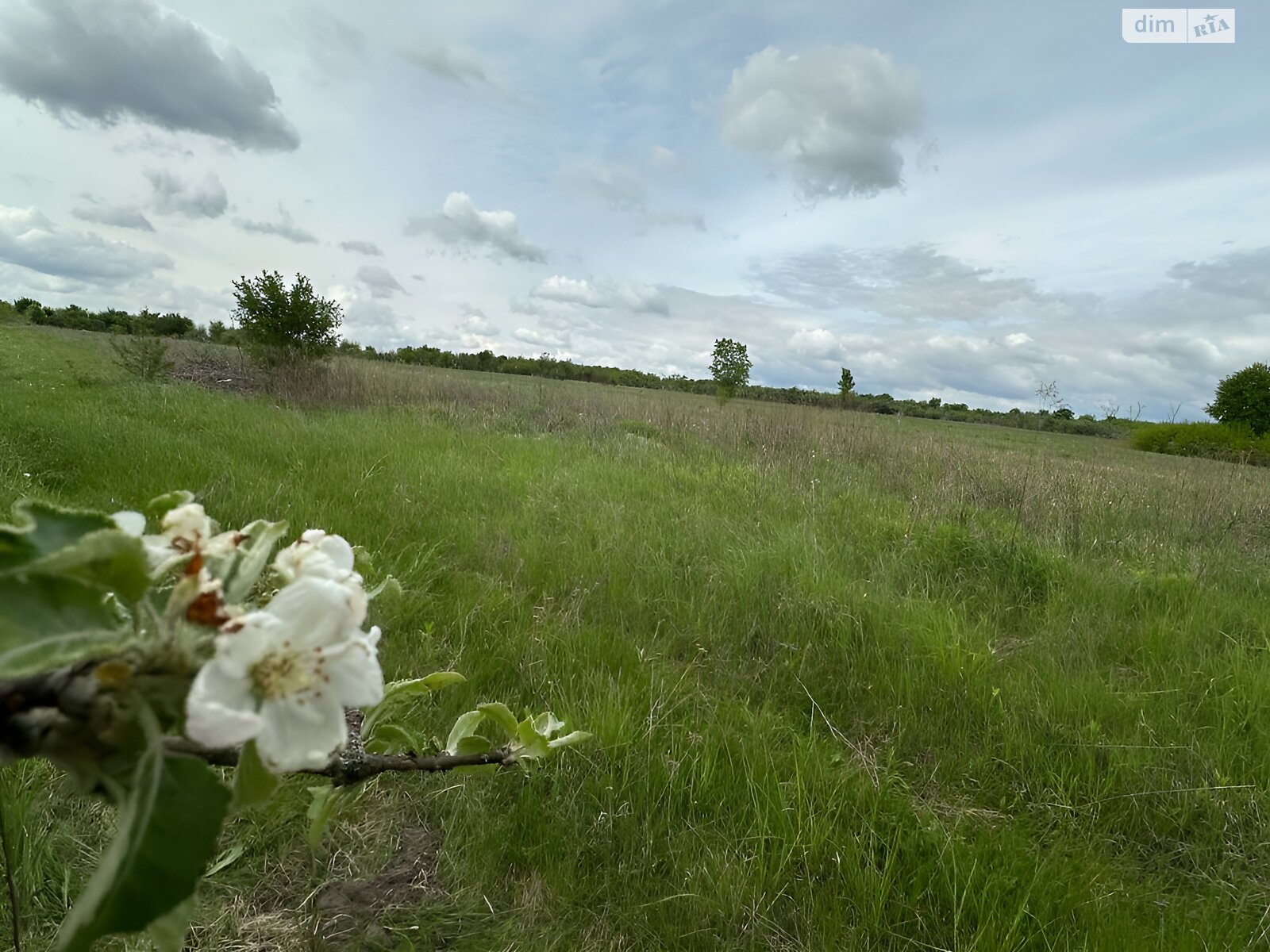 Земельна ділянка сільськогосподарського призначення в Гостомелі, площа 26.61 сотки фото 1 Земельна ділянка сільськогосподарського призначення в Гостомелі, площа 26.61 сотки фото 1