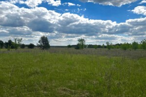 Земельный участок сельскохозяйственного назначения в Гостомеле, площадь 9.82 сотки фото 2