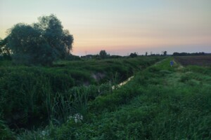 Земельна ділянка сільськогосподарського призначення в Гостомелі, площа 63 сотки фото 2