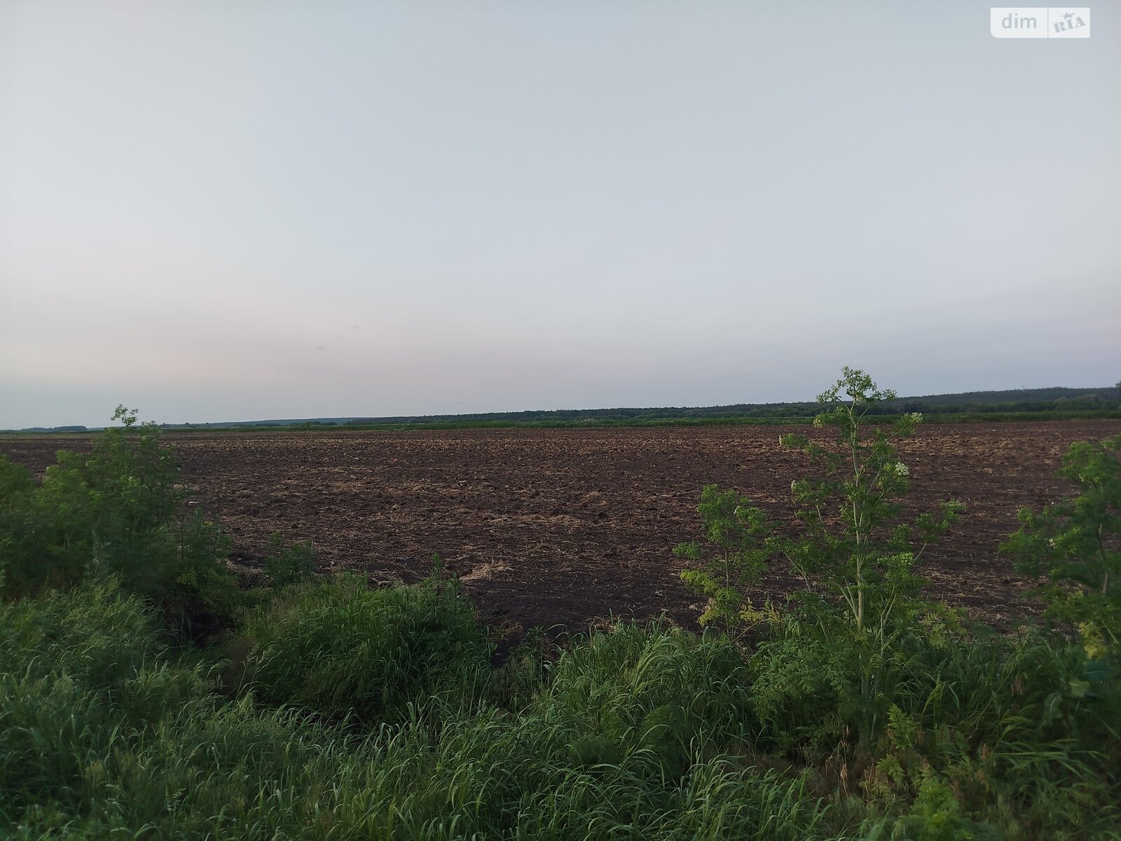 Земельна ділянка сільськогосподарського призначення в Гостомелі, площа 63 сотки фото 1 Земельна ділянка сільськогосподарського призначення в Гостомелі, площа 63 сотки фото 1
