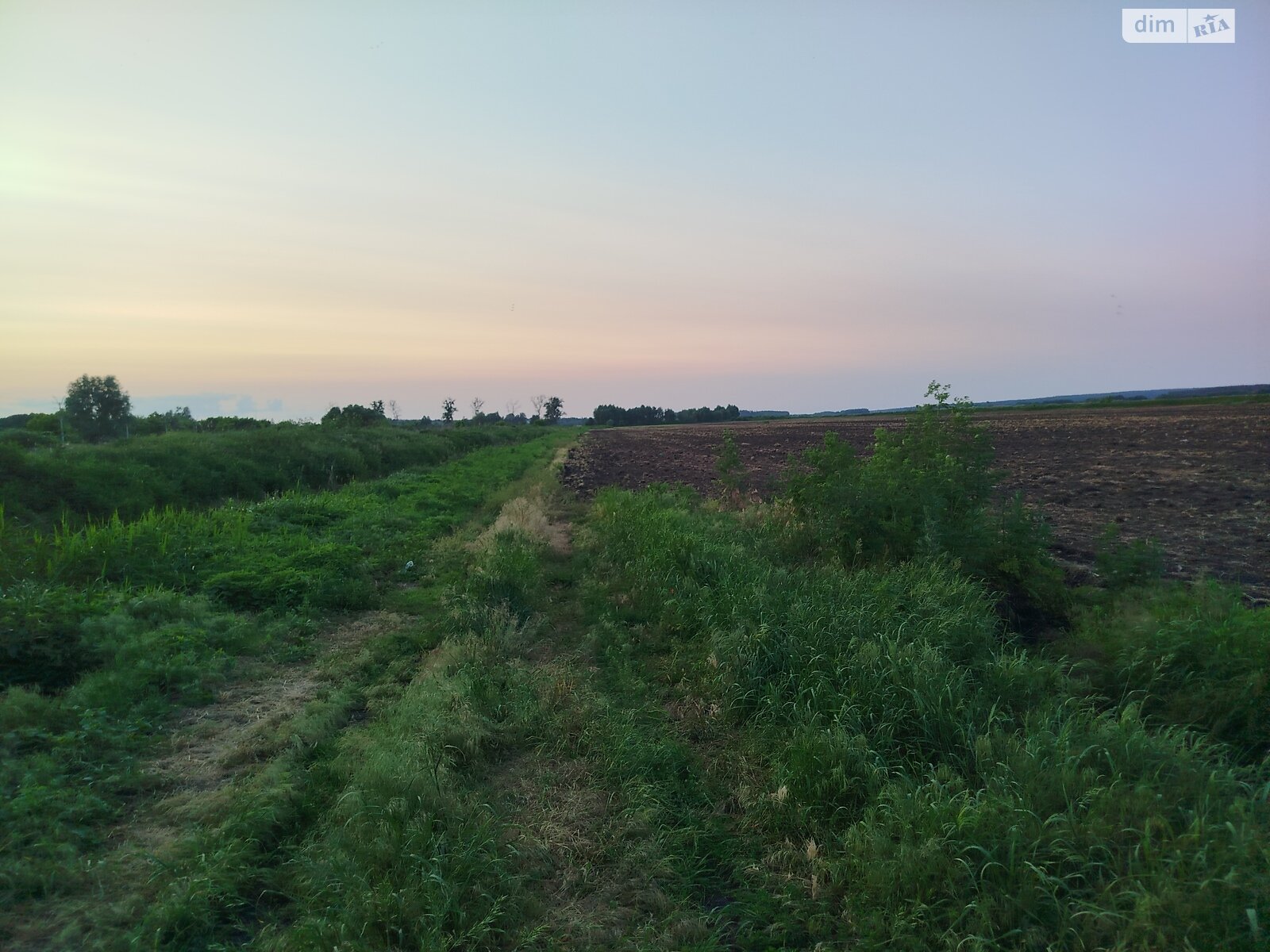 Земельна ділянка сільськогосподарського призначення в Гостомелі, площа 63 сотки фото 1 Земельна ділянка сільськогосподарського призначення в Гостомелі, площа 63 сотки фото 1