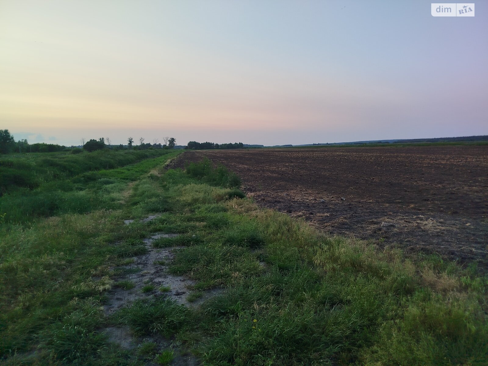 Земельна ділянка сільськогосподарського призначення в Гостомелі, площа 63 сотки фото 1 Земельна ділянка сільськогосподарського призначення в Гостомелі, площа 63 сотки фото 1