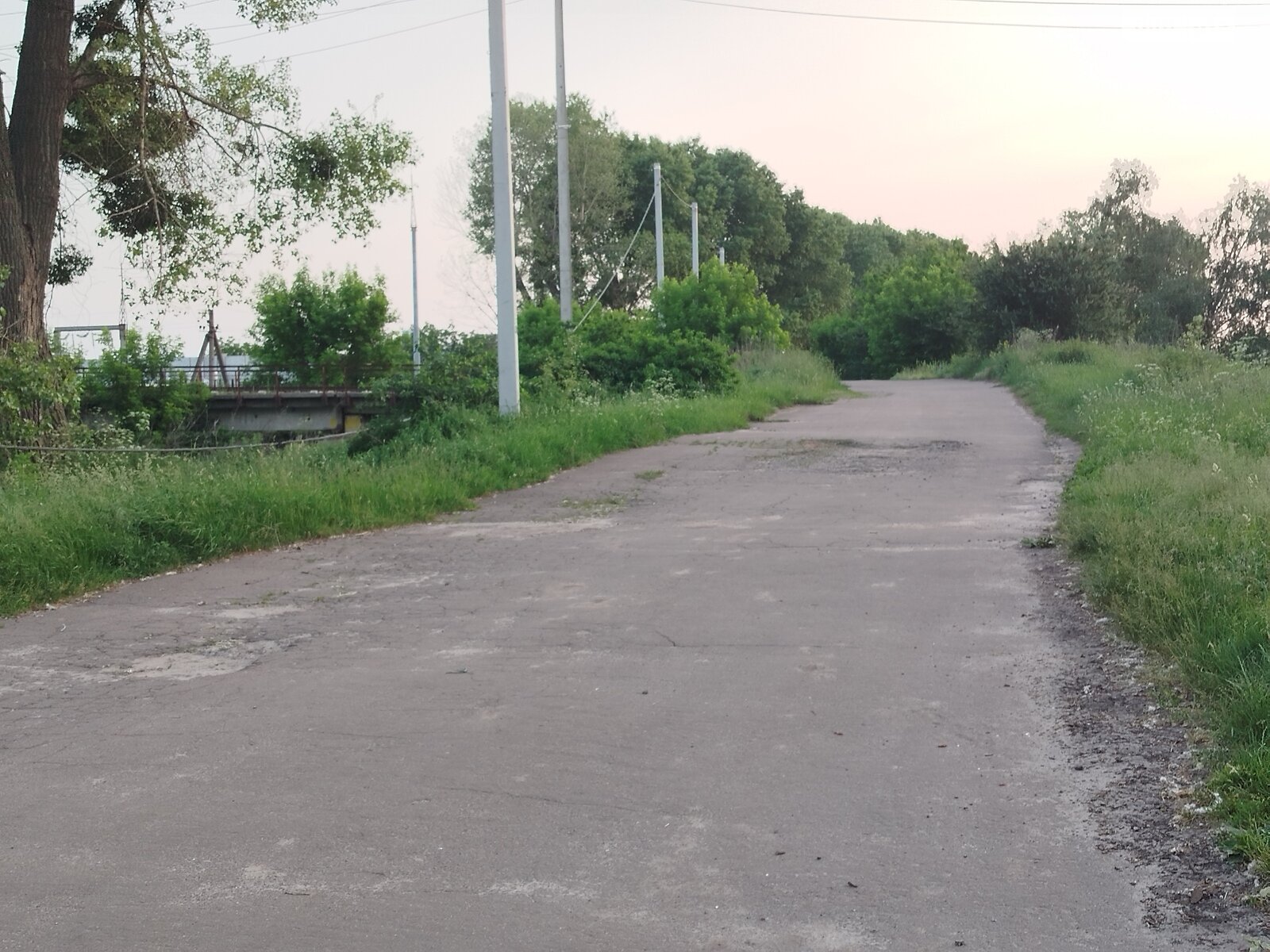 Земельна ділянка сільськогосподарського призначення в Гостомелі, площа 63 сотки фото 1 Земельна ділянка сільськогосподарського призначення в Гостомелі, площа 63 сотки фото 1