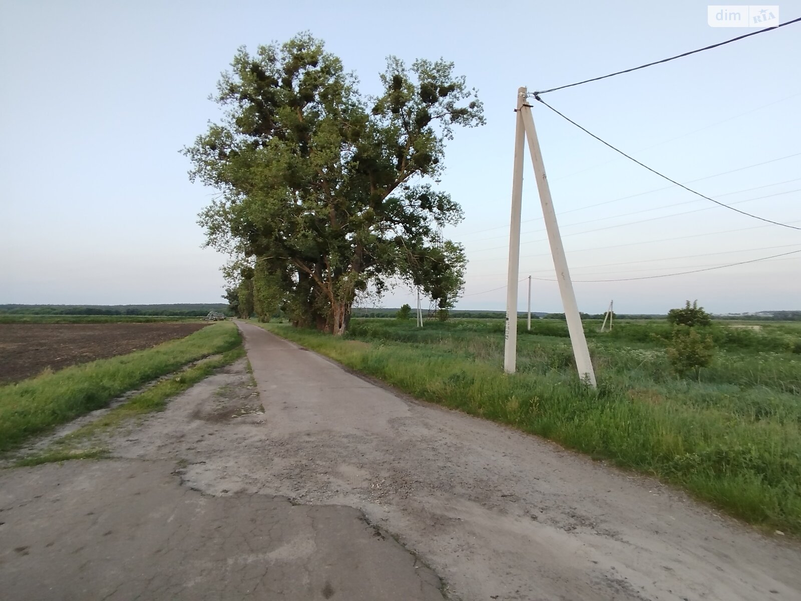 Земельна ділянка сільськогосподарського призначення в Гостомелі, площа 63 сотки фото 1 Земельна ділянка сільськогосподарського призначення в Гостомелі, площа 63 сотки фото 1