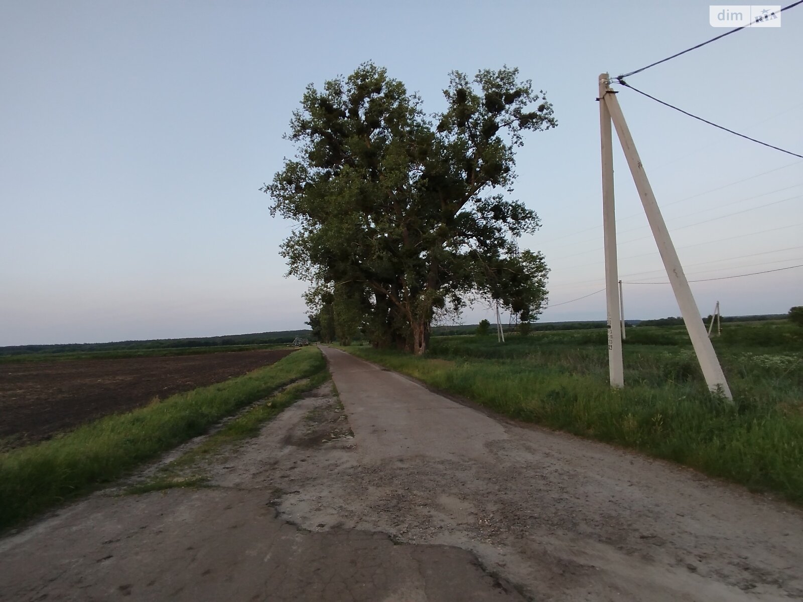 Земельна ділянка сільськогосподарського призначення в Гостомелі, площа 63 сотки фото 1 Земельна ділянка сільськогосподарського призначення в Гостомелі, площа 63 сотки фото 1