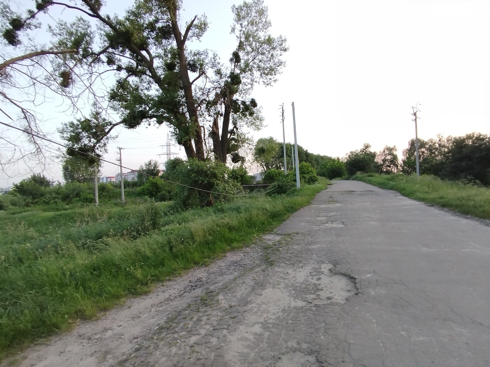 Земельна ділянка сільськогосподарського призначення в Гостомелі, площа 63 сотки фото 1 Земельна ділянка сільськогосподарського призначення в Гостомелі, площа 63 сотки фото 1