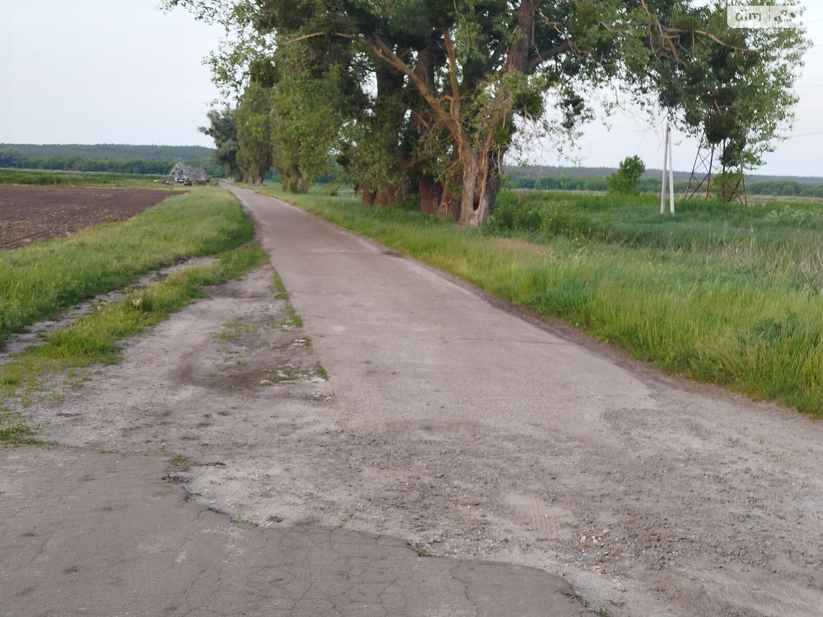 Земельна ділянка сільськогосподарського призначення в Гостомелі, площа 63 сотки фото 1 Земельна ділянка сільськогосподарського призначення в Гостомелі, площа 63 сотки фото 1