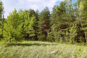 Земельна ділянка сільськогосподарського призначення в Грабинівці, площа 27.1 сотки фото 2