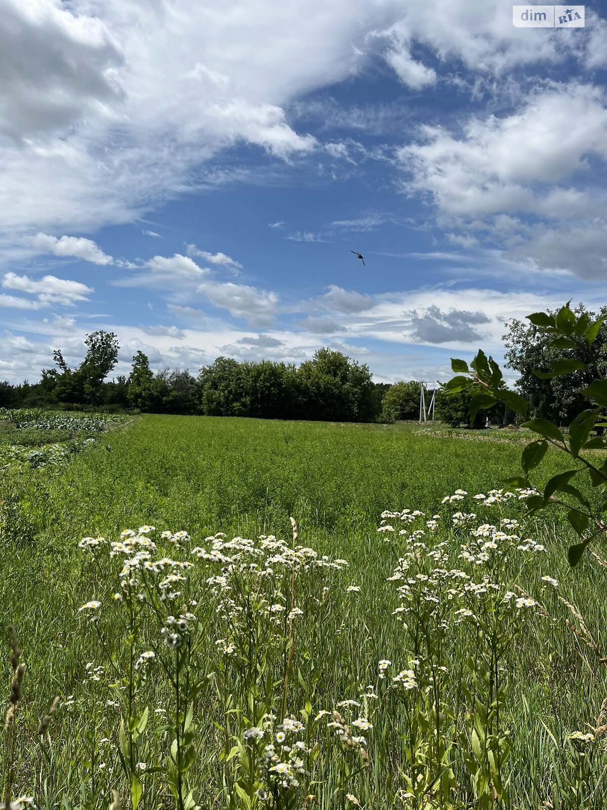 Земельный участок сельскохозяйственного назначения в Гребенях, площадь 40.9 сотки фото 1