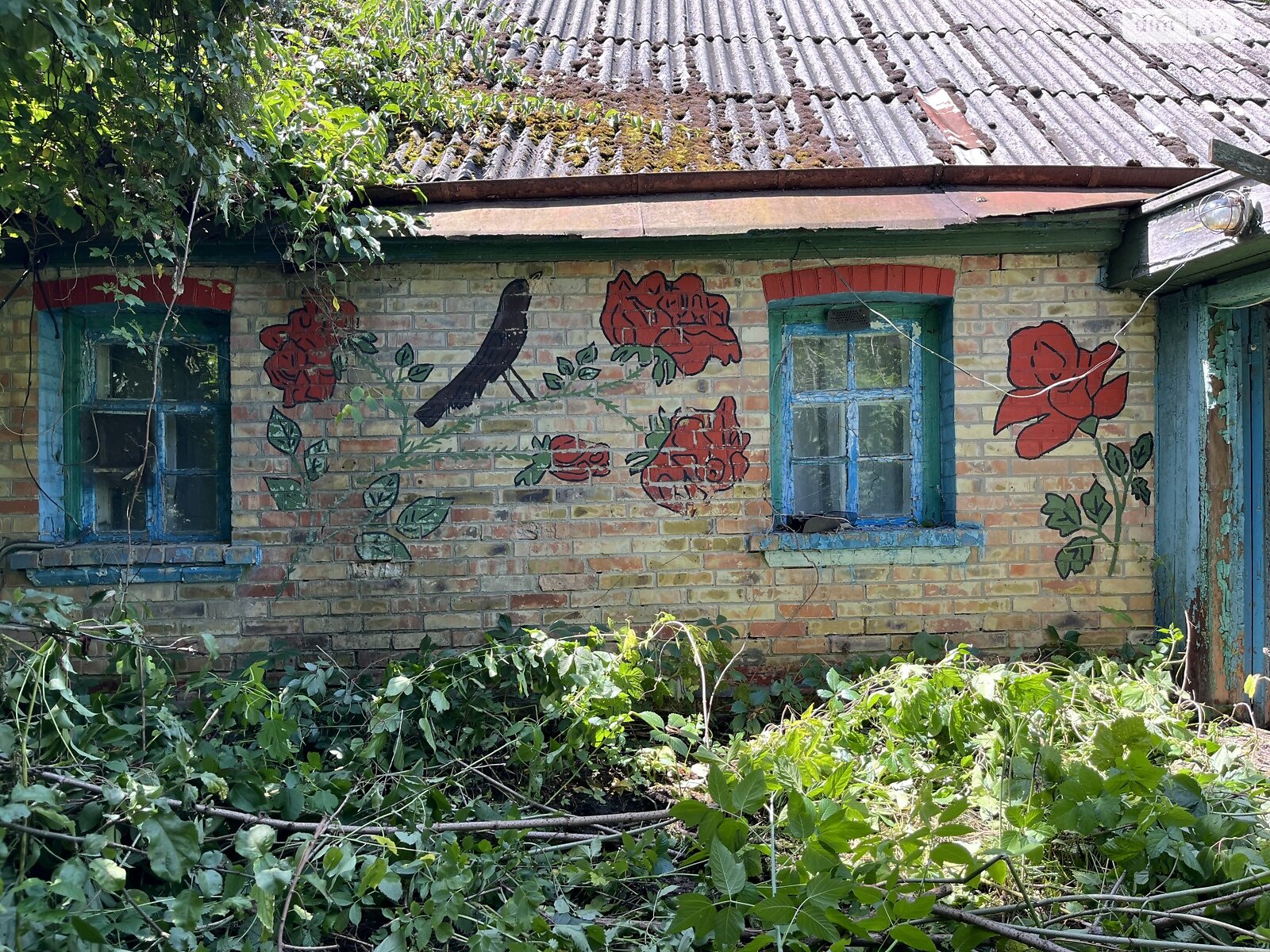 Земельный участок сельскохозяйственного назначения в Гребенях, площадь 40.9 сотки фото 1