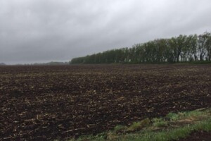 Земельный участок сельскохозяйственного назначения в Гребенках, площадь 237 соток фото 2