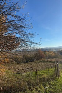 Земельна ділянка сільськогосподарського призначення в Грушево, площа 48 соток фото 2