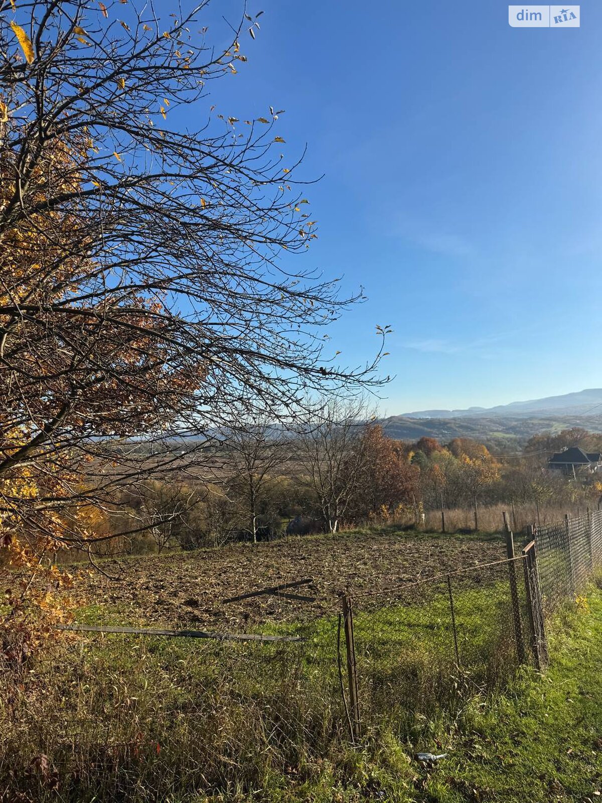 Земельна ділянка сільськогосподарського призначення в Грушево, площа 48 соток фото 1